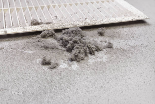 Best HVAC Duct Inspection Services  in Wayne, MI