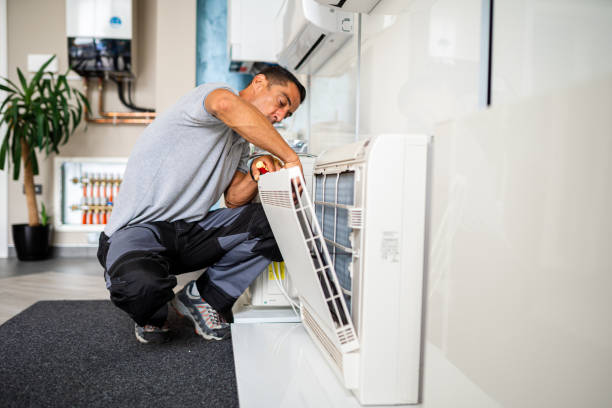 Best Air Vent Cleaning Services  in Wayne, MI