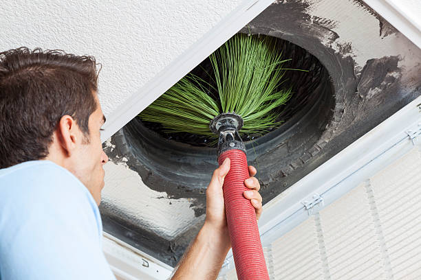 Best Local Air Duct Cleaning Services  in Wayne, MI